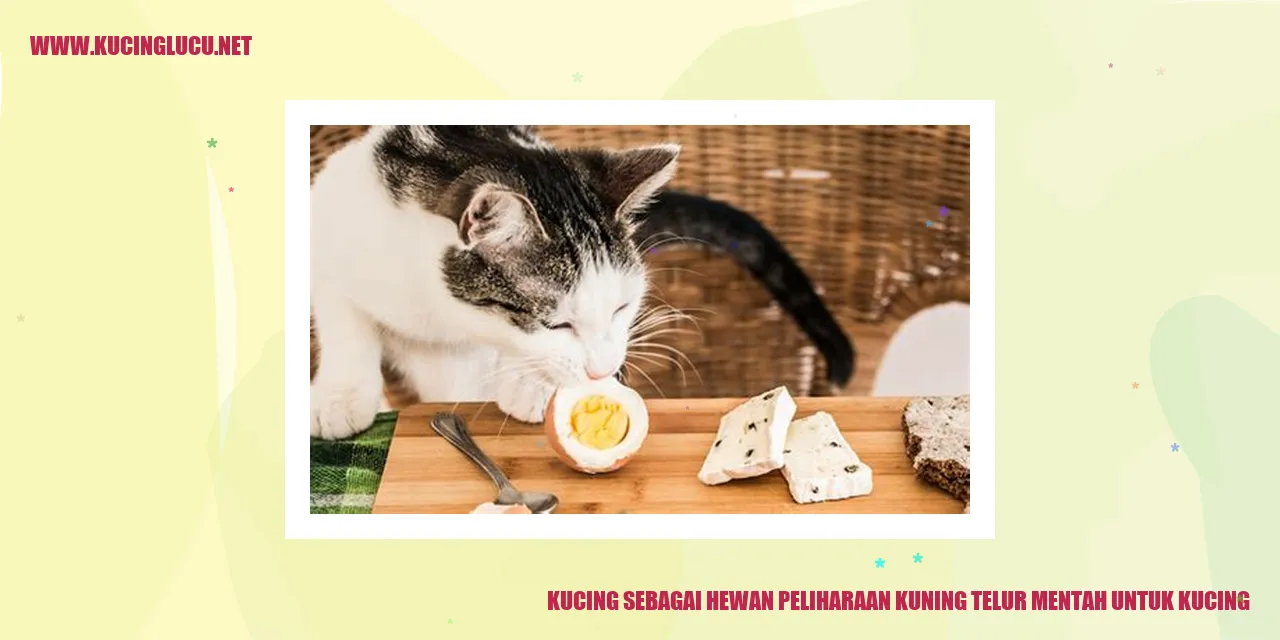 Kucing sebagai Hewan Peliharaan