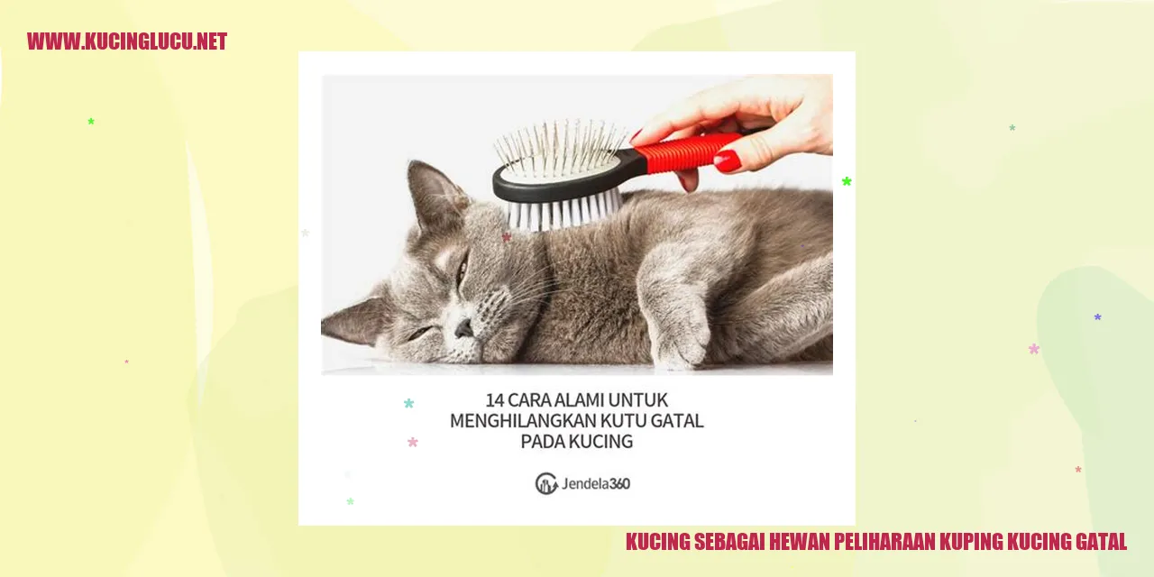 Kucing dengan Kuping Gatal