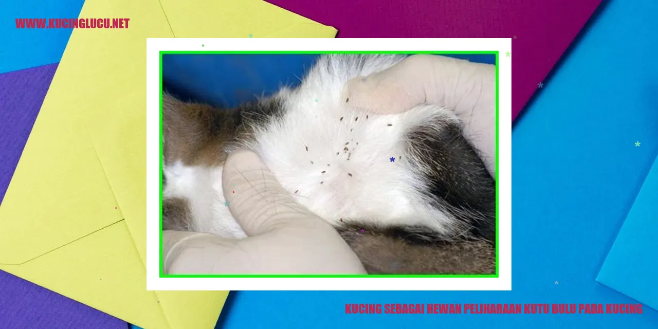 Kucing dengan masalah kutu bulu