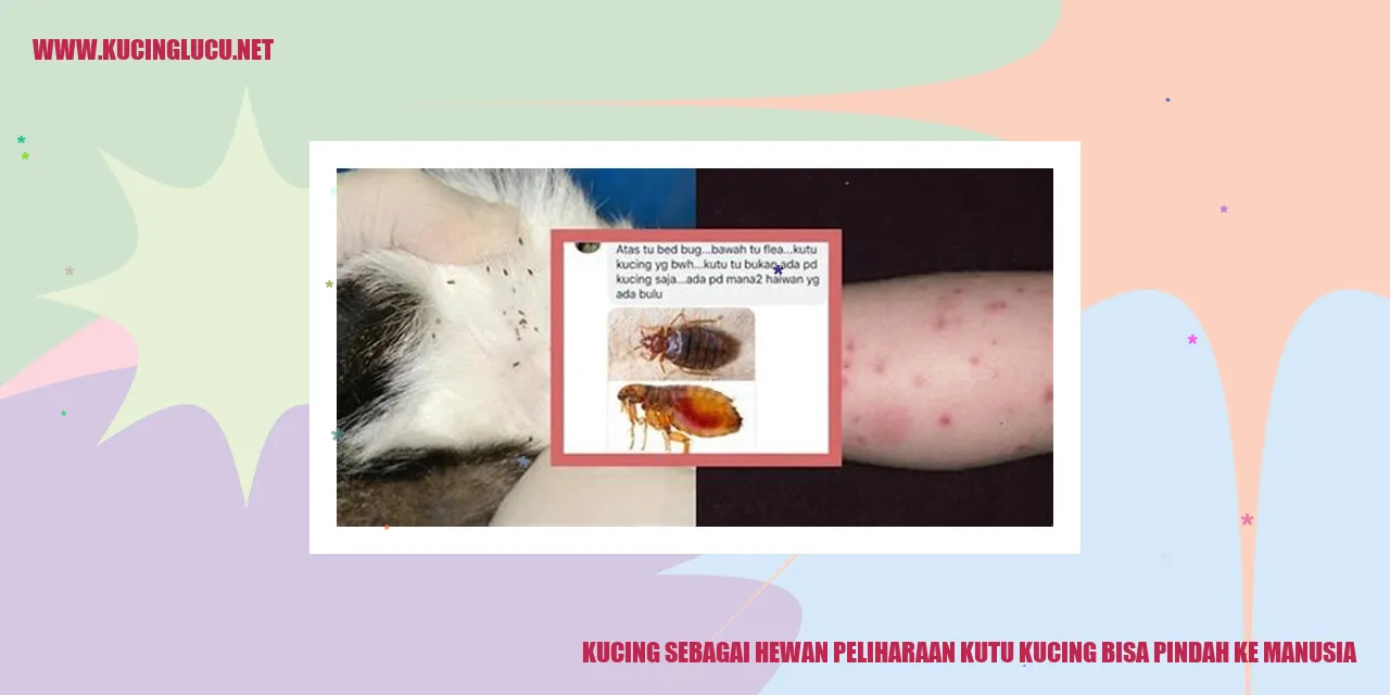 Gambar kucing yang menggemaskan