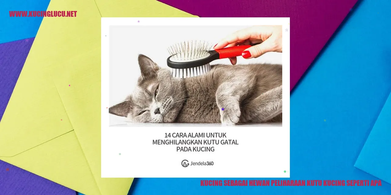 Kucing dan Kutu Kucing