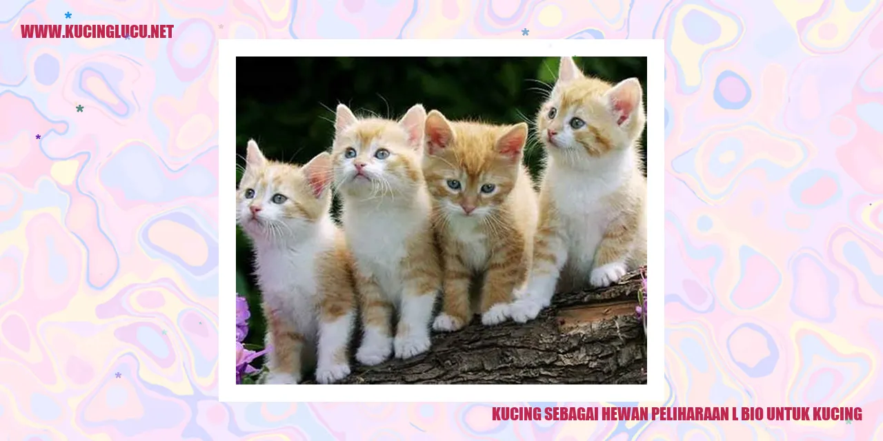 Kucing sebagai Hewan Peliharaan