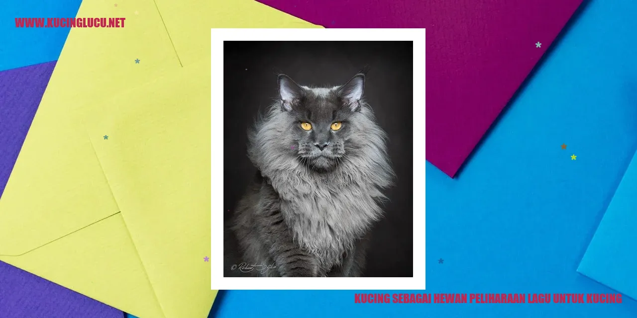 Gambar Kucing