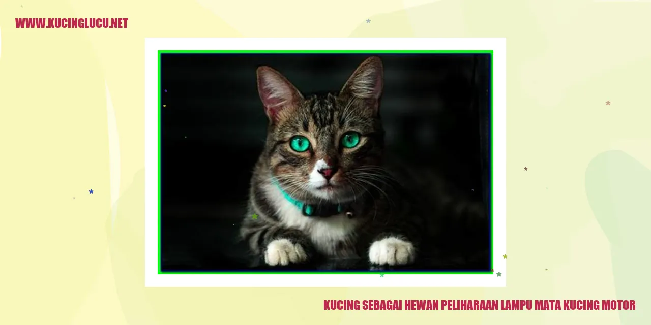 Kucing sebagai Hewan Peliharaan lampu mata kucing motor