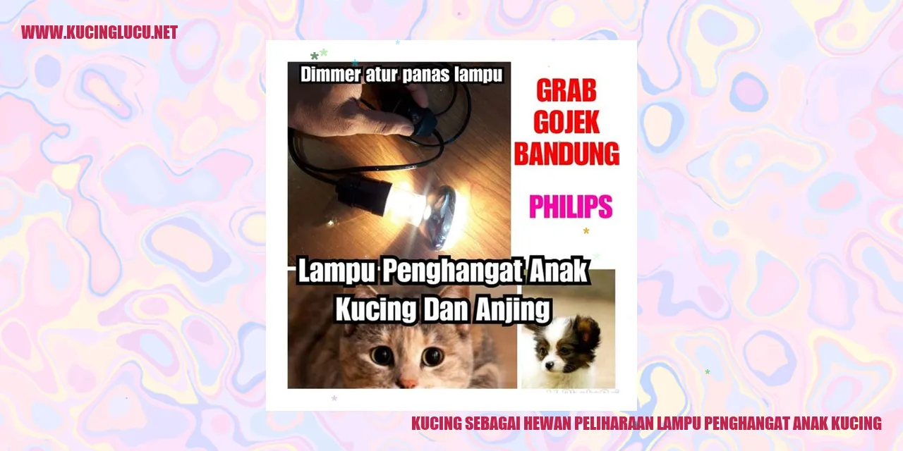 Gambar kucing hangatkan anak kucing