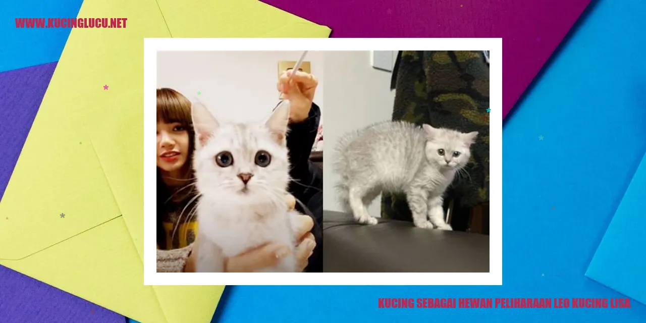 Kucing sebagai Hewan Peliharaan