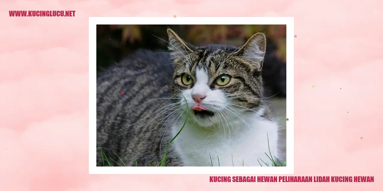 Kucing sebagai Hewan Peliharaan