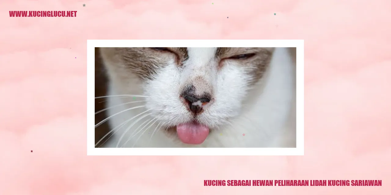 Gambar Kucing