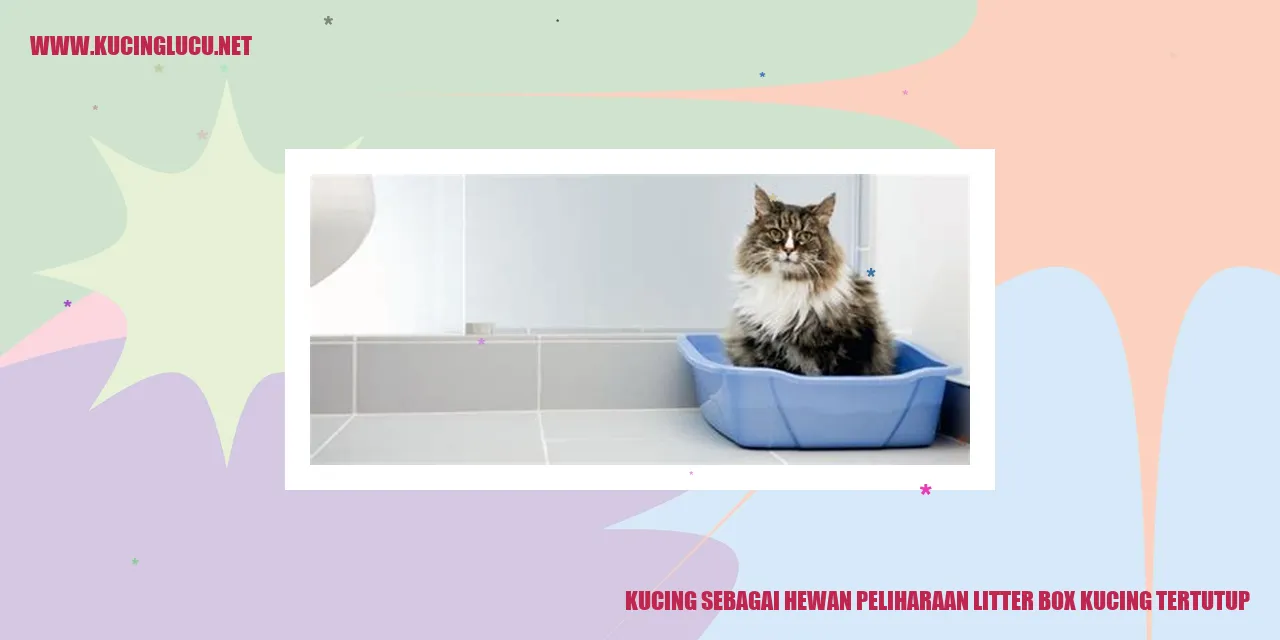 Kucing menggunakan litter box