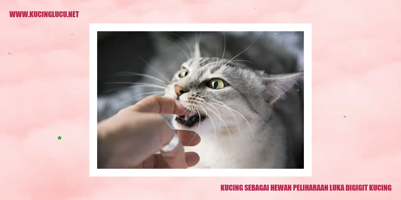 Sebuah gambar seekor kucing sedang bermain