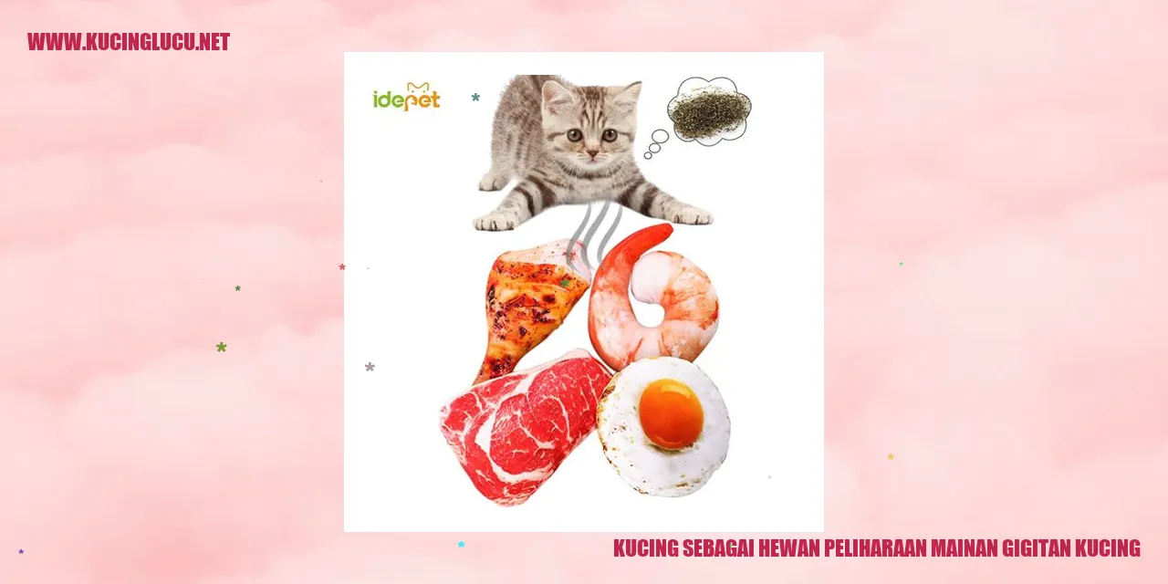 Kucing mainan gigitan