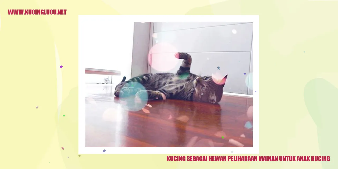 Gambar Kucing yang Menggemaskan