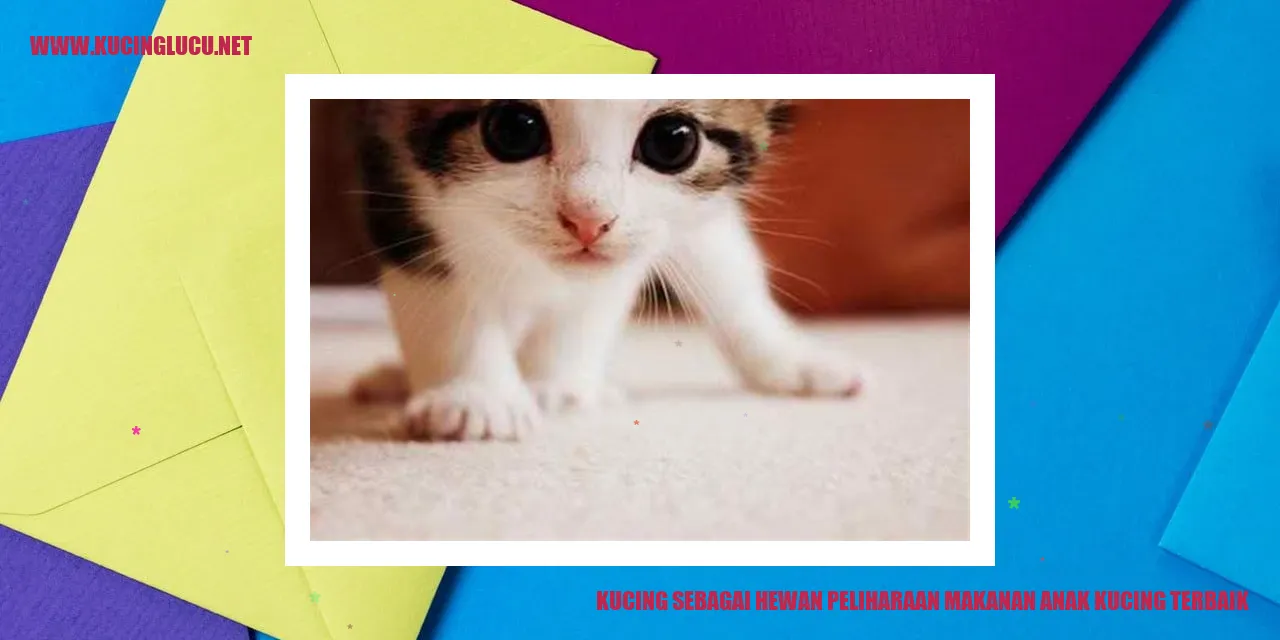 Kucing Anak dan Pilihan Pangan