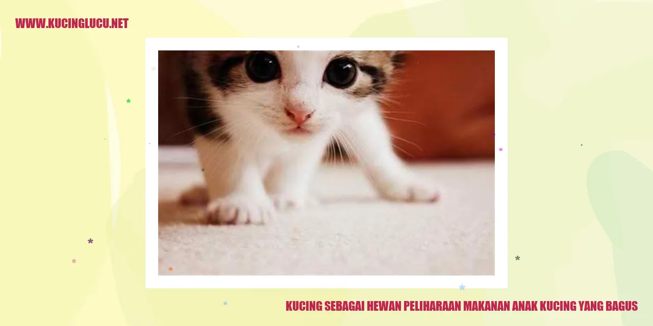 Gambar Kucing