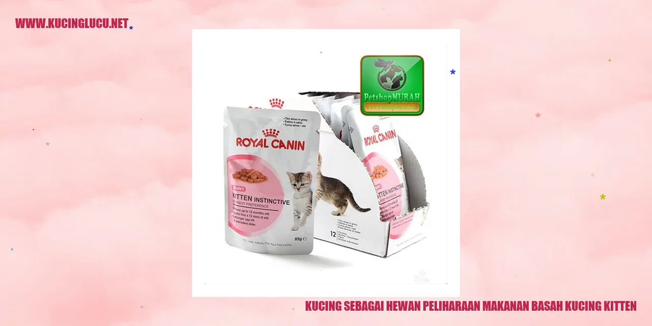 Makanan Basah untuk Kucing