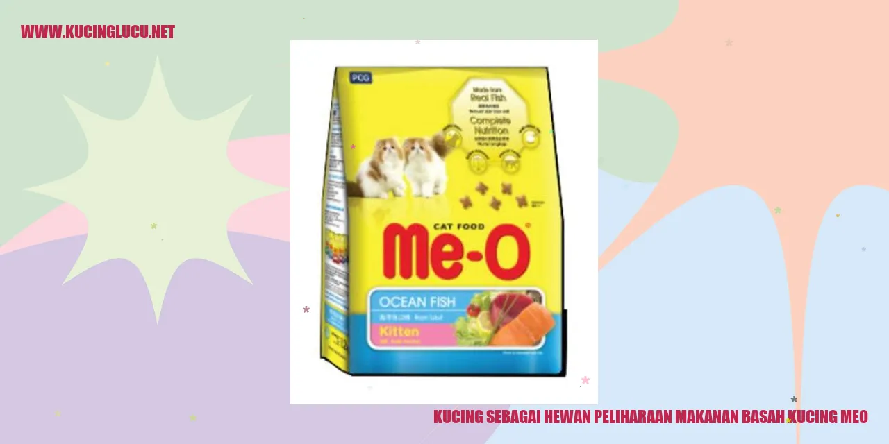 Gambar kucing dan makanan basah Meo