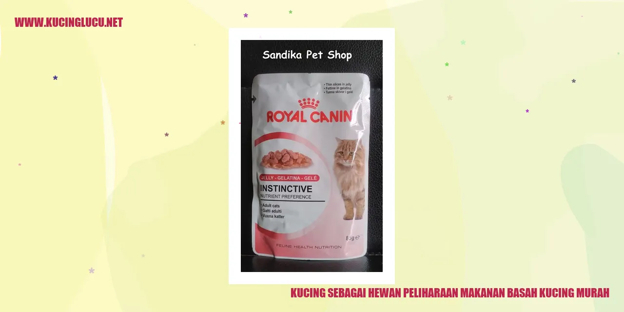 Kucing sebagai Hewan Peliharaan makanan basah kucing murah