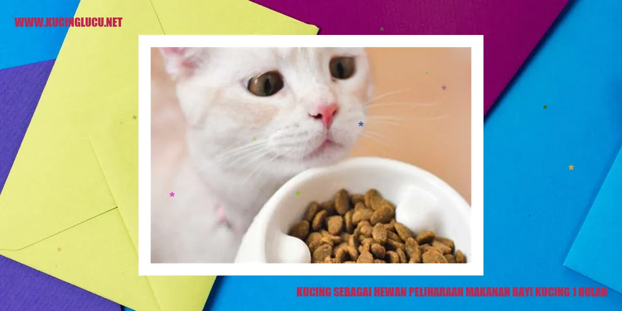 Gambar kucing
