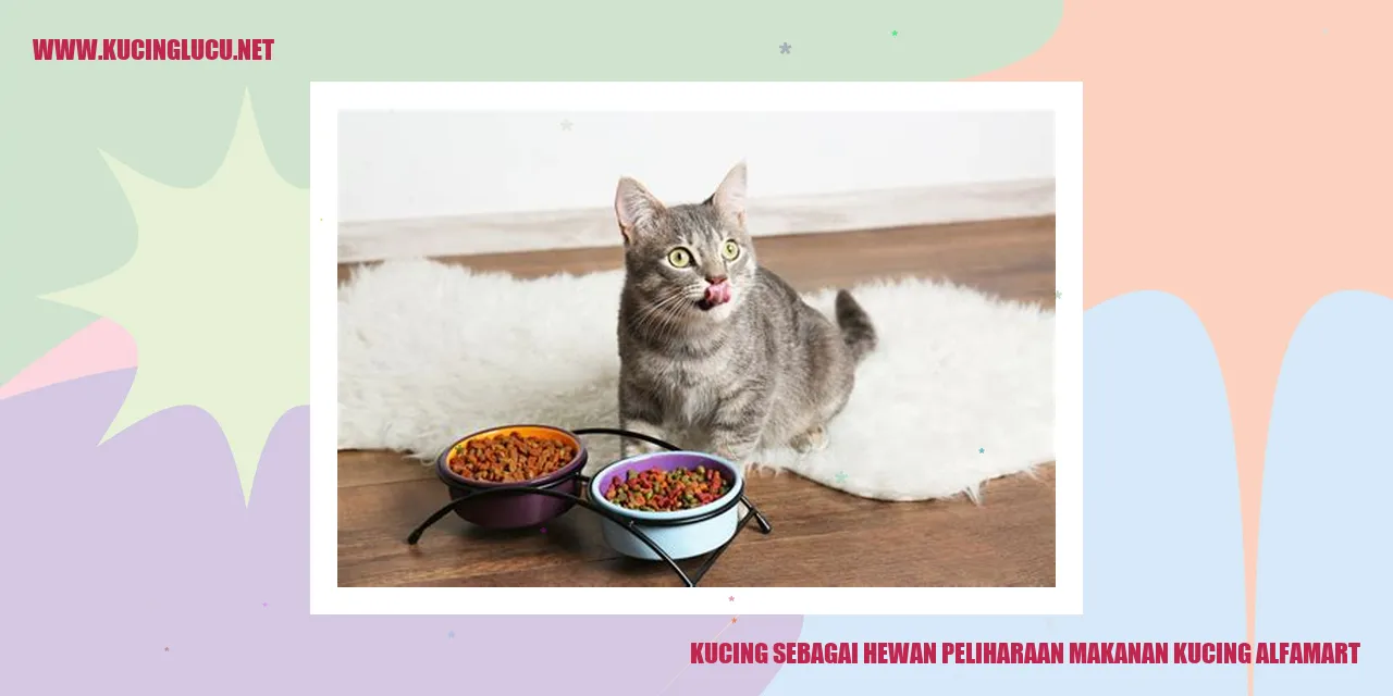 Gambar kucing sedang makan makanan dari Alfamart