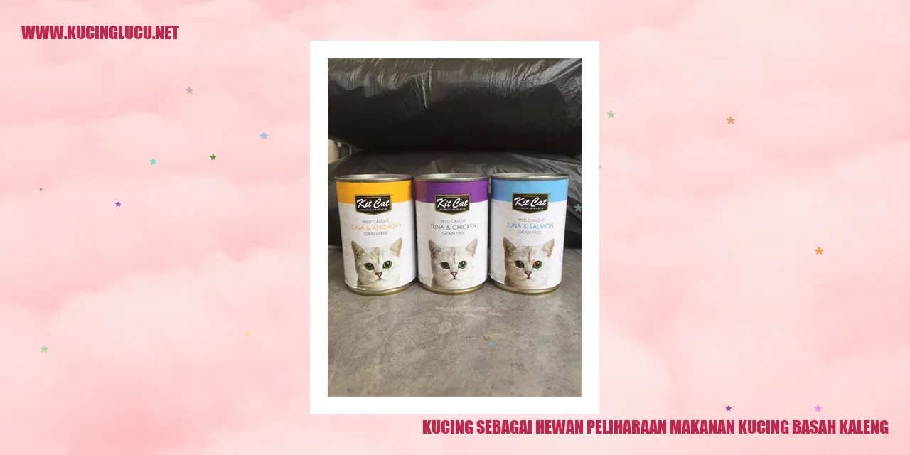 Gambar kucing makanan basah kaleng