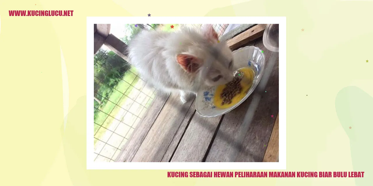 Gambar seekor kucing