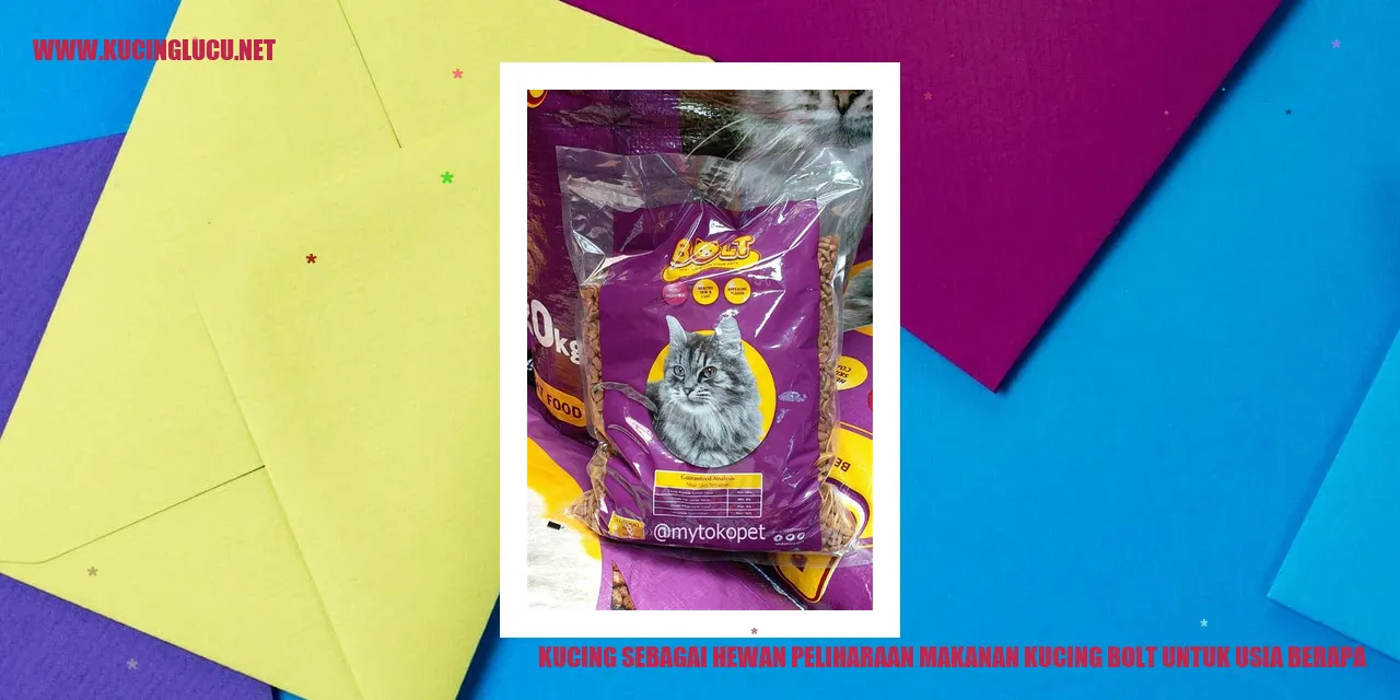 Kucing sebagai Hewan Peliharaan