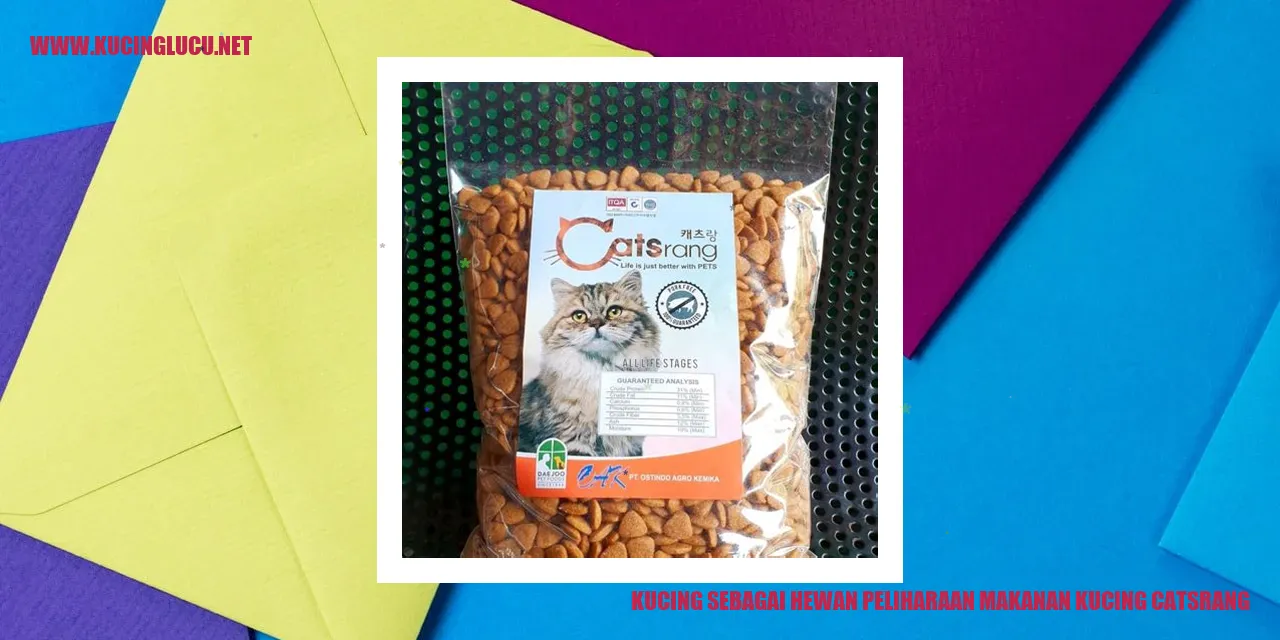 gambar kucing yang menggemaskan