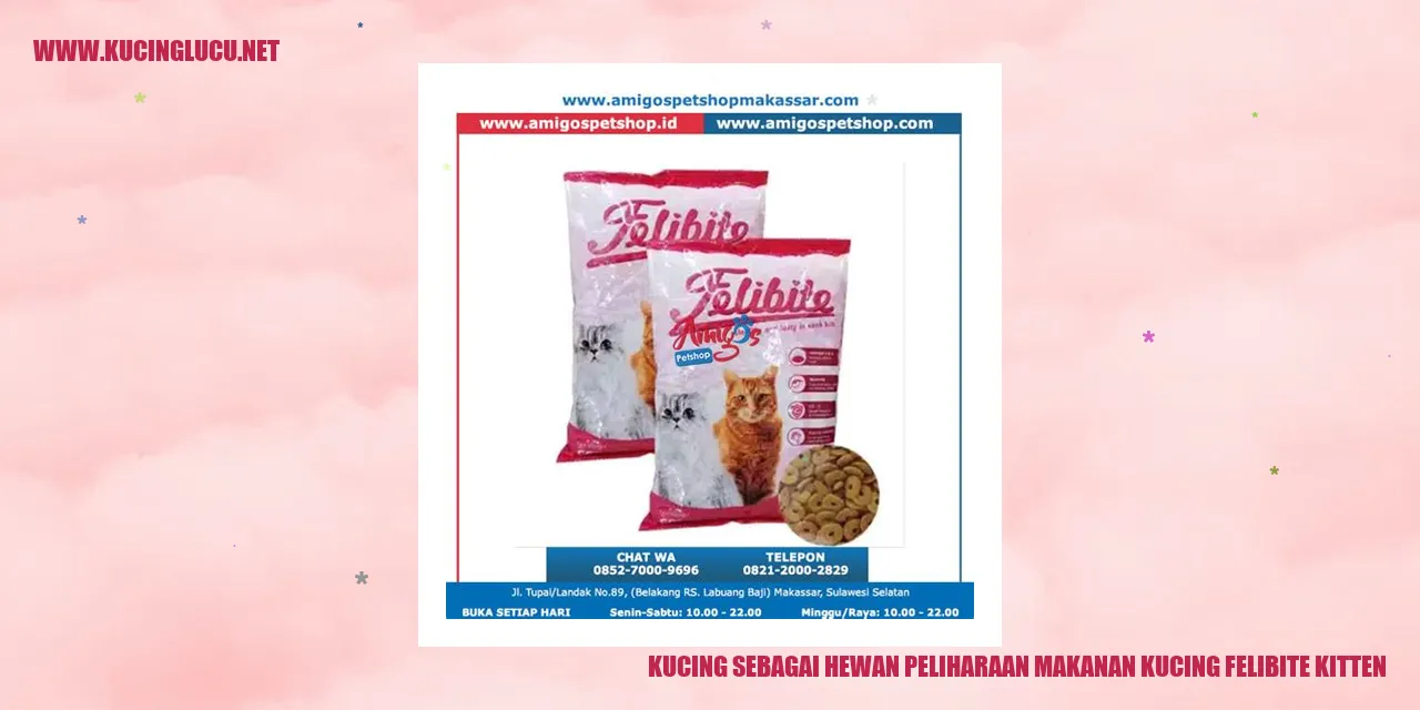 Gambar kucing yang menggemaskan
