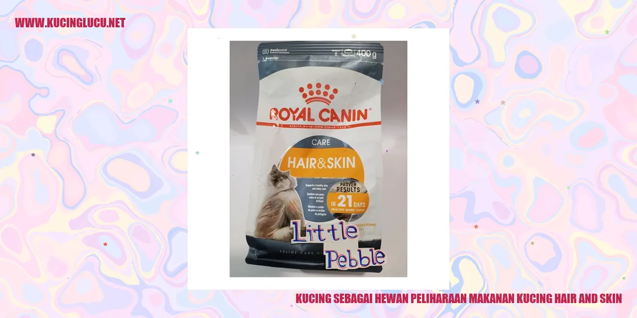 Gambar Kucing