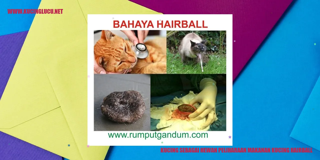 Gambar Kucing sebagai Hewan Peliharaan