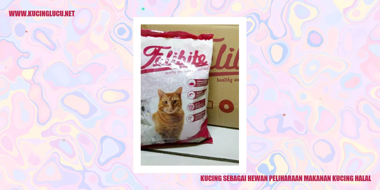 foto kucing
