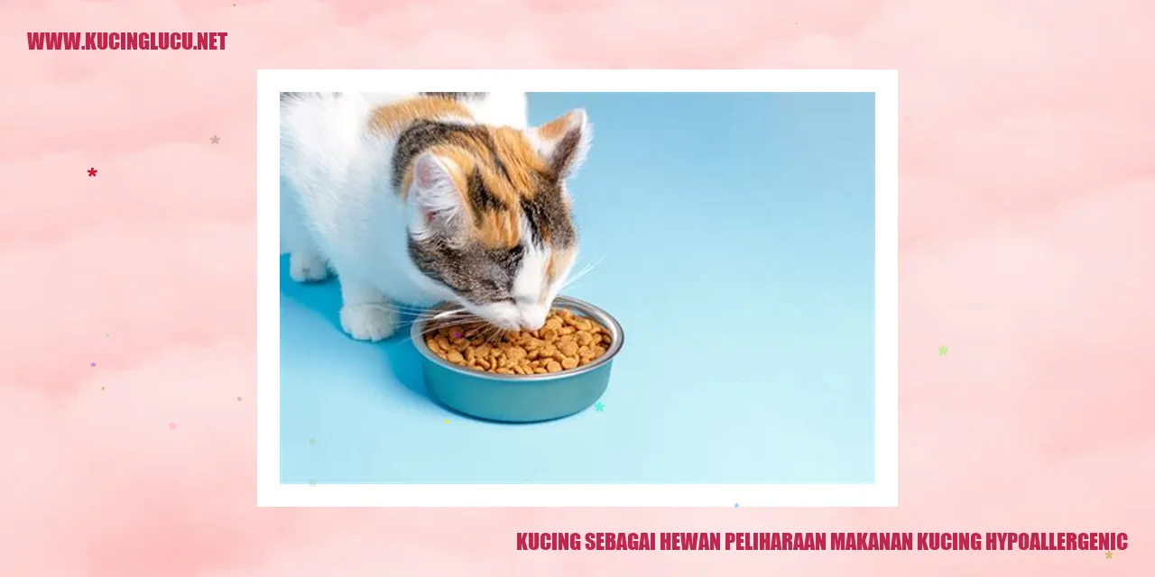 Gambar Kucing