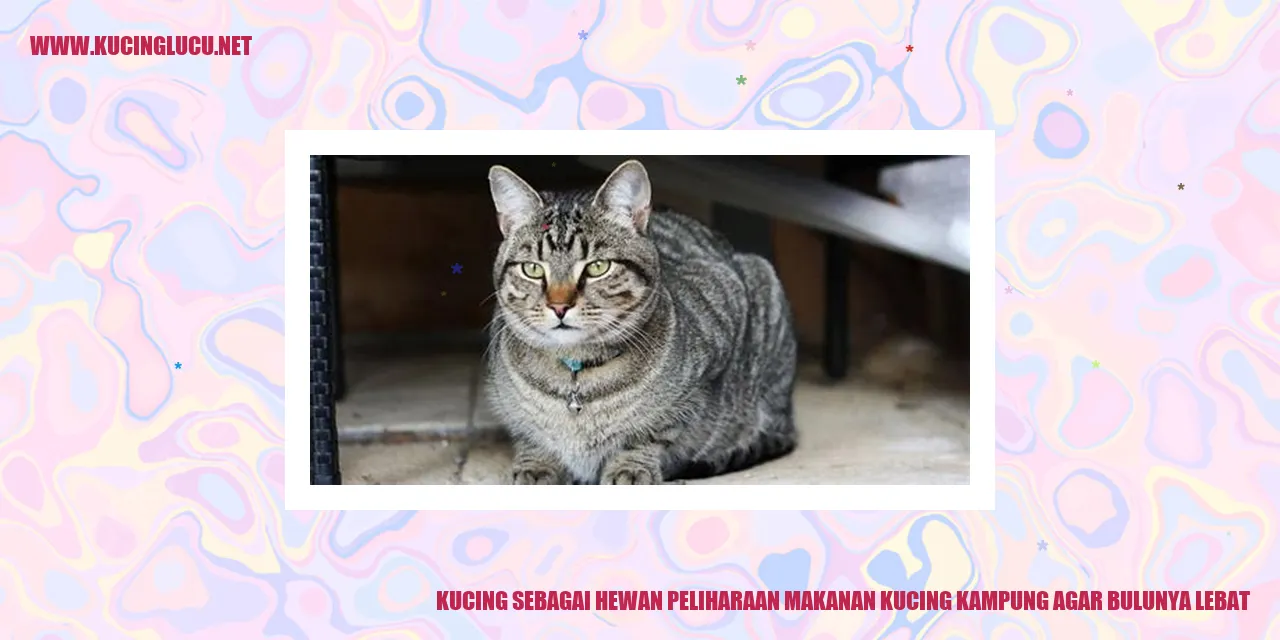 Gambar Kucing dengan Bulu yang Mengesankan