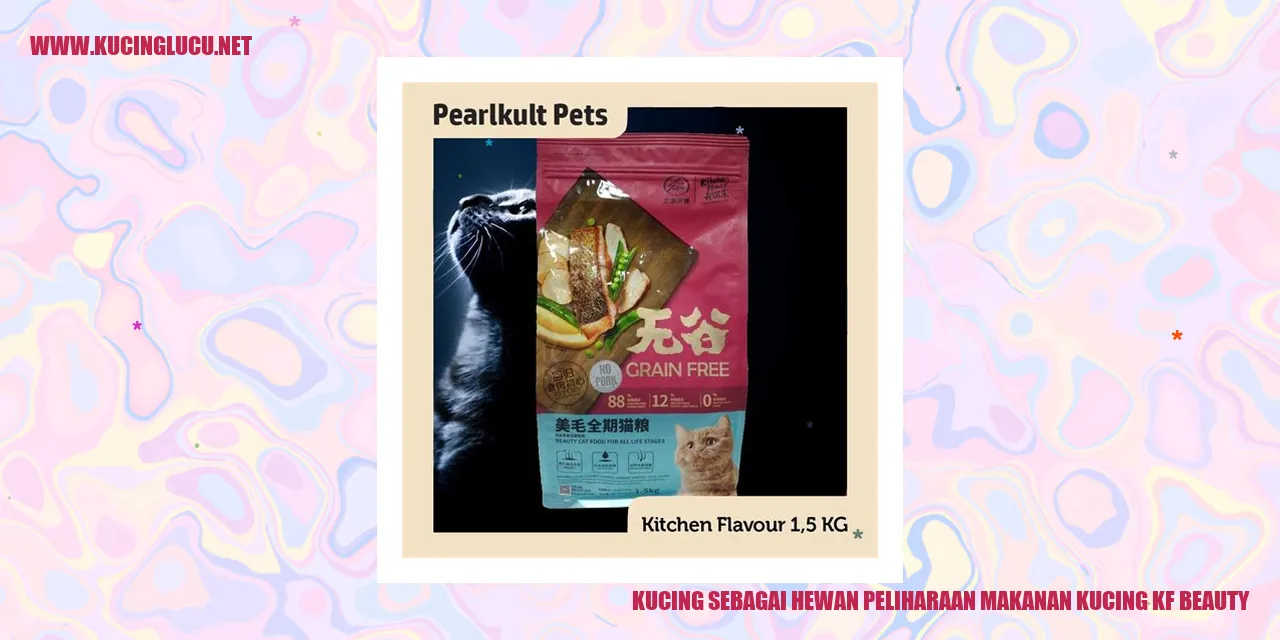 Gambar kucing