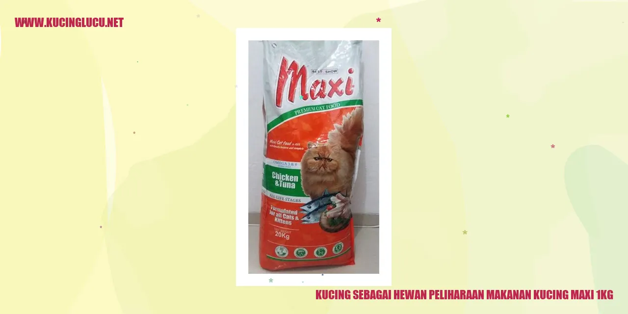 Gambar Kucing