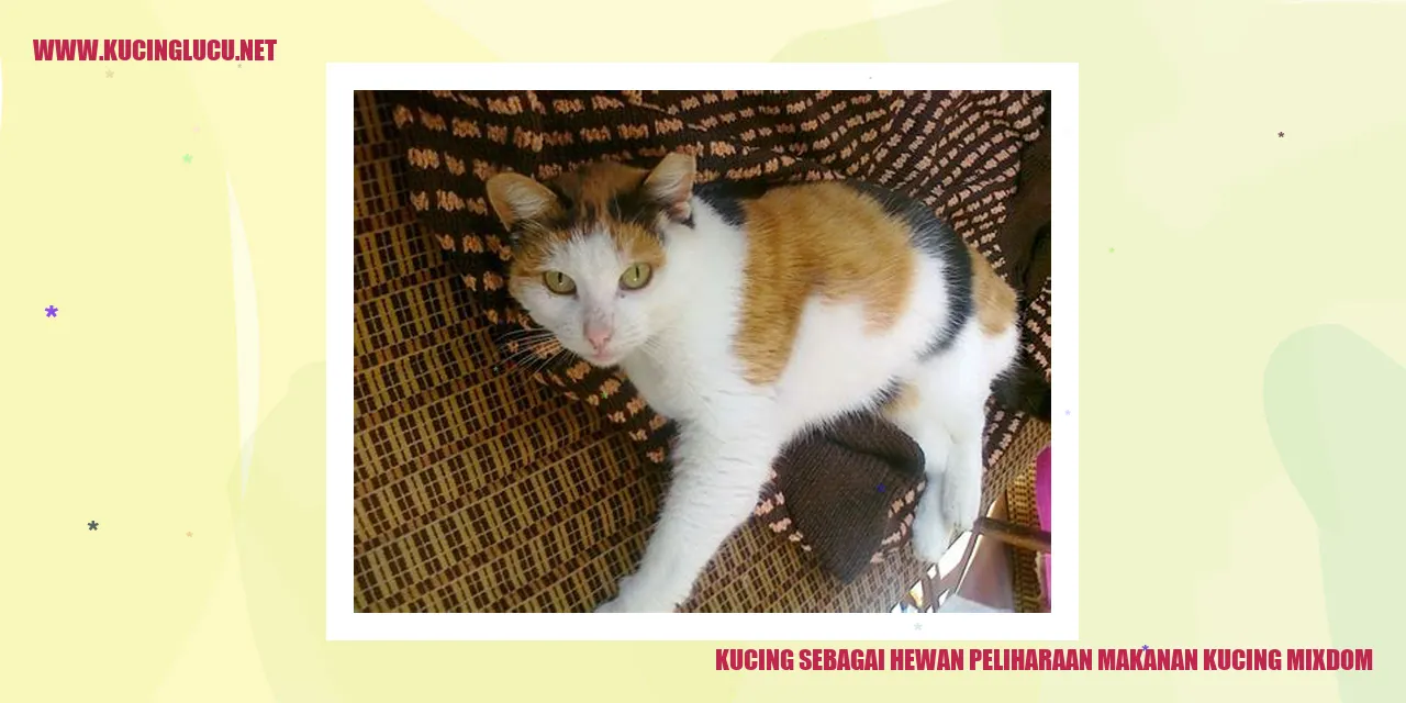 Gambar Kucing