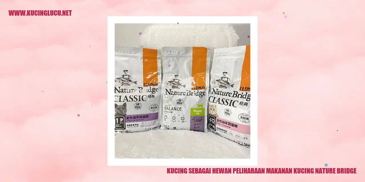 Kucing sebagai Hewan Peliharaan