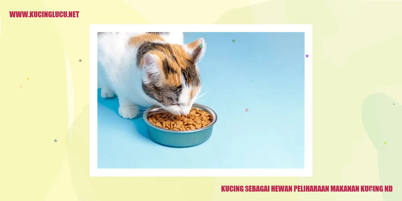 Kucing Lucu
