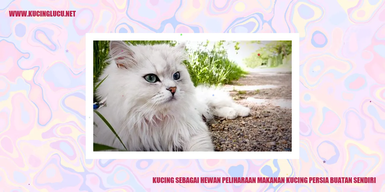 Kucing Persia