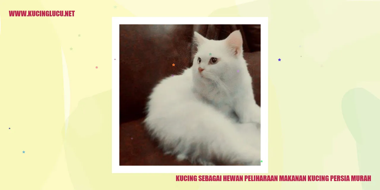 Kucing Persia