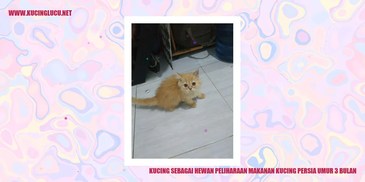 Kucing sebagai Hewan Peliharaan