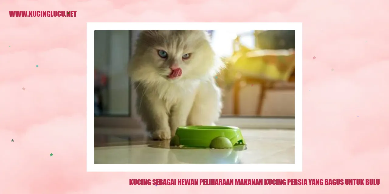 Gambar Kucing Persia