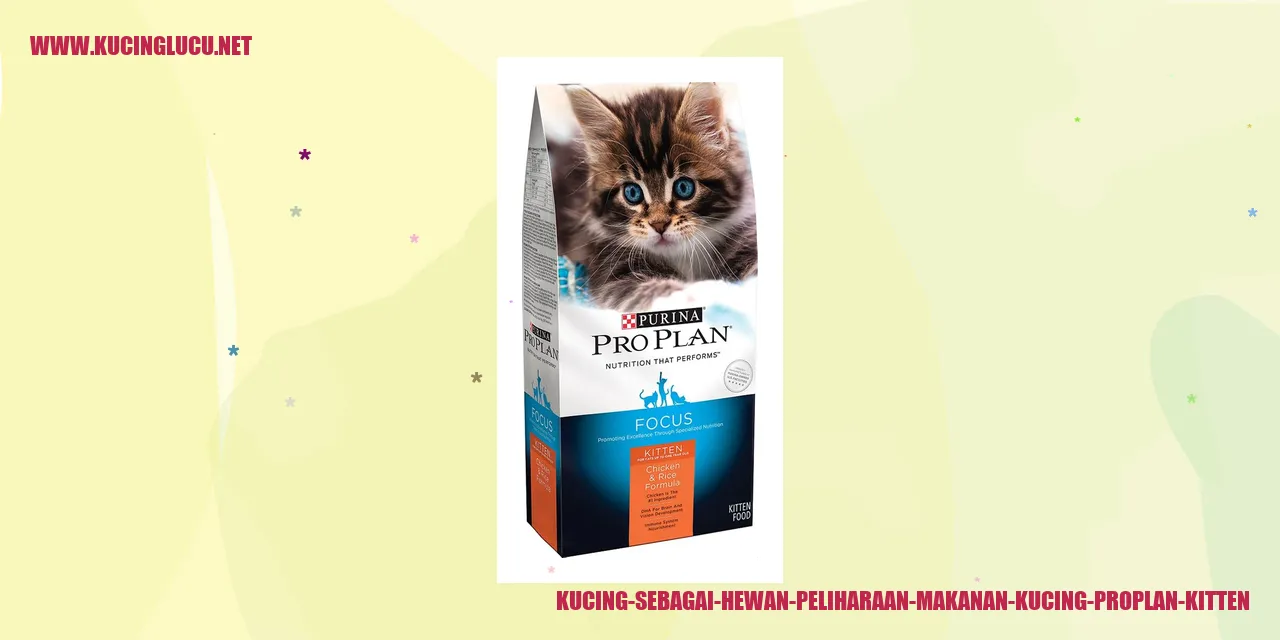 Kucing-sebagai-Hewan-Peliharaan