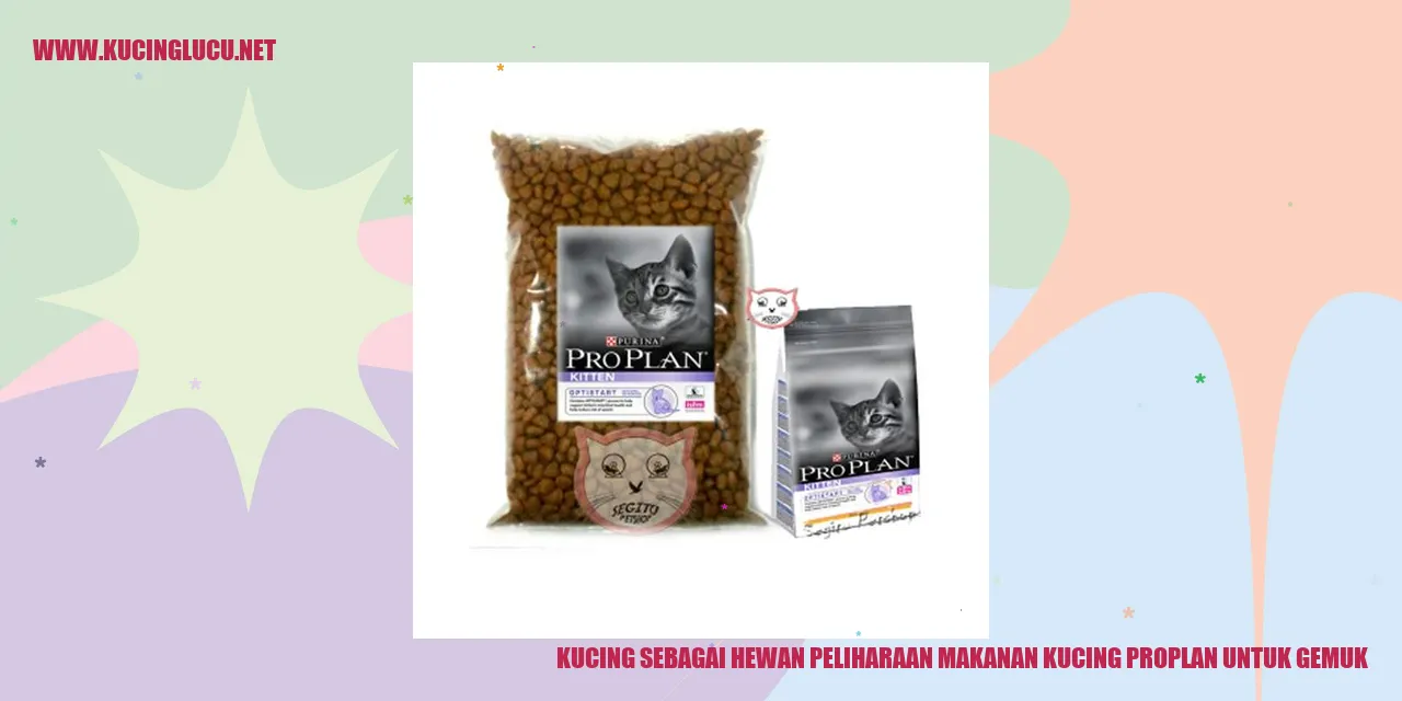 Kucing Sebagai Hewan Peliharaan