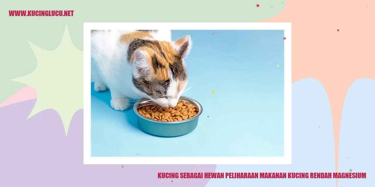 gambar kucing yang menggemaskan