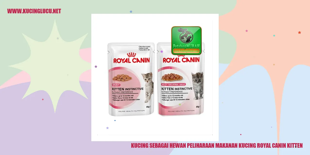 Gambar kucing menggemaskan