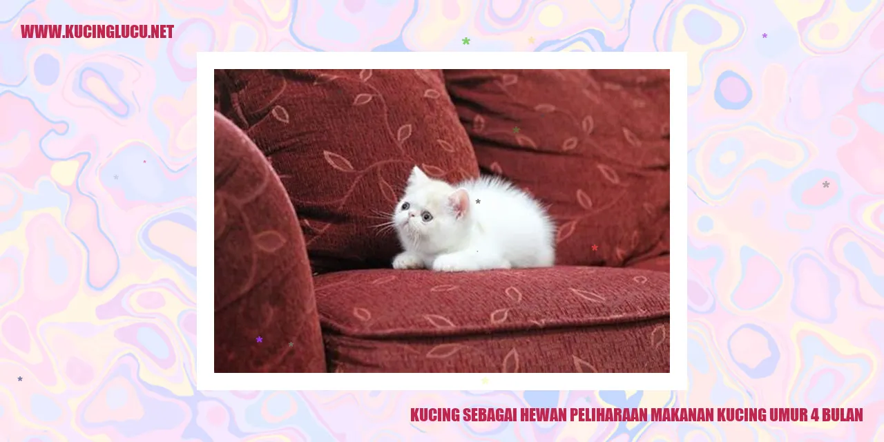 Gambar Kucing Menggemaskan