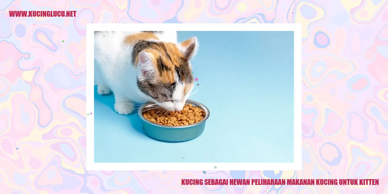 Kucing Sebagai Hewan Peliharaan