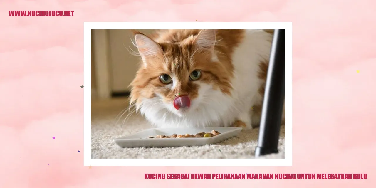 Kucing dengan bulu lebat