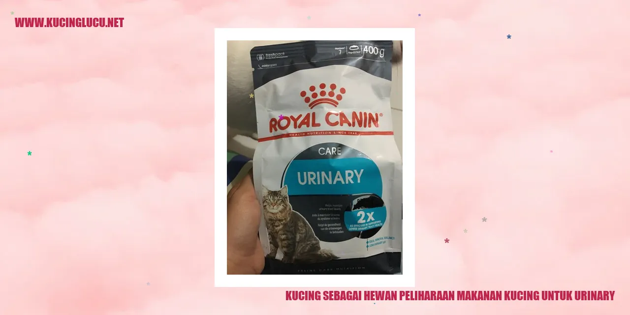 Kucing sebagai Hewan Kesayangan